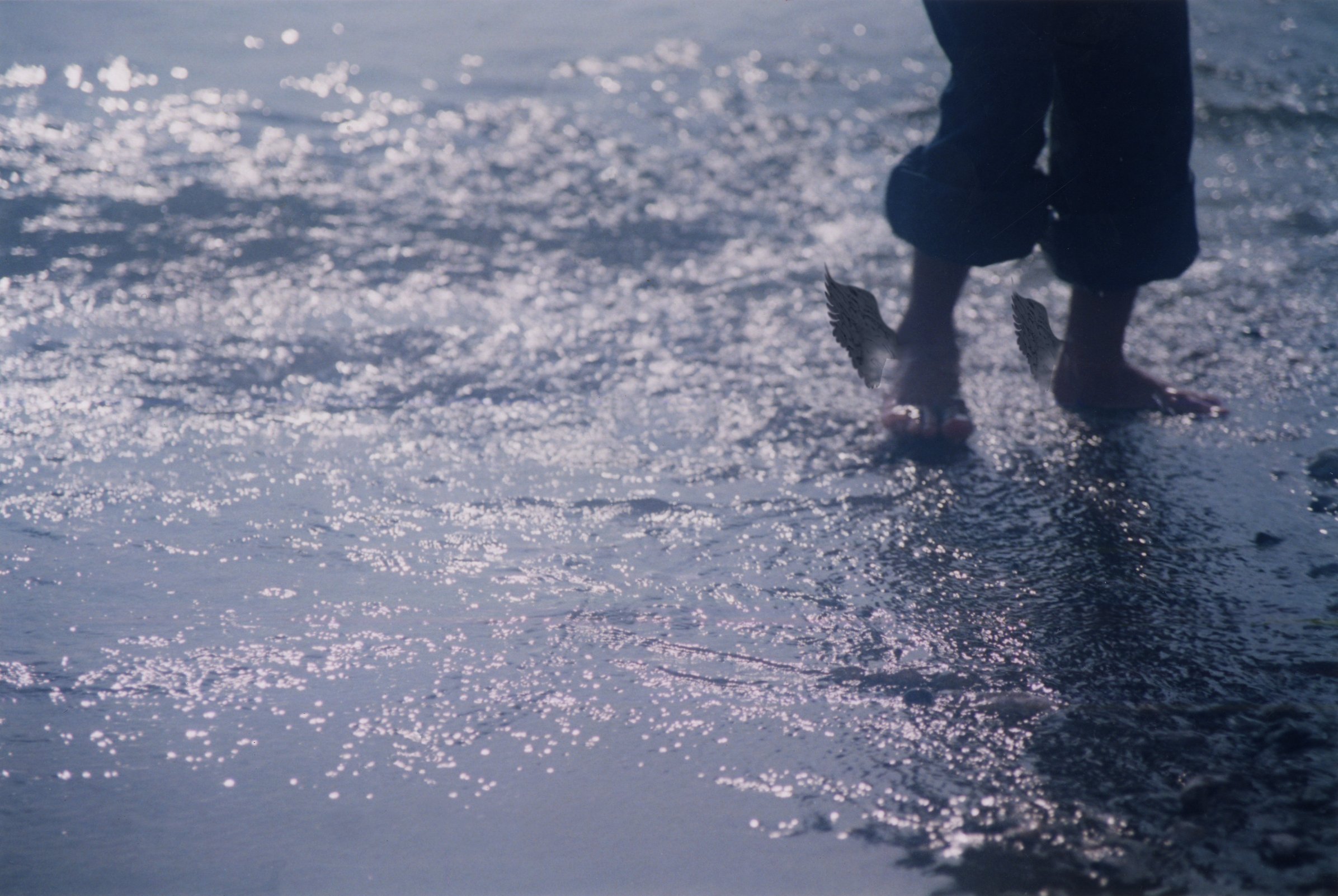 Фото - Hermes: 2392x1602 / 490 Кб