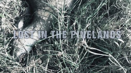 Фото - Lost in the Pinelands: 507x285 / 69 Кб