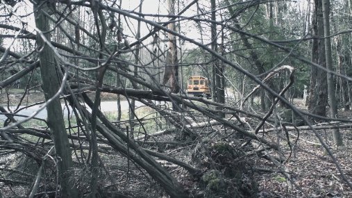 Фото - Lost in the Pinelands: 507x285 / 62 Кб