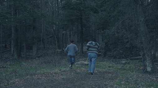 Фото - Lost in the Pinelands: 507x285 / 32 Кб