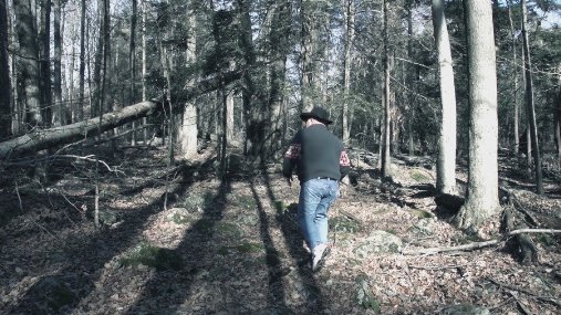 Фото - Lost in the Pinelands: 507x285 / 62 Кб