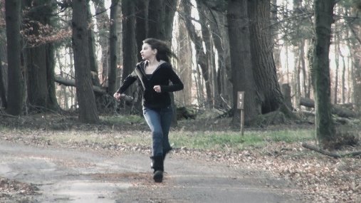 Фото - Lost in the Pinelands: 507x285 / 41 Кб