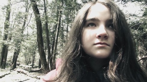 Фото - Lost in the Pinelands: 507x285 / 49 Кб