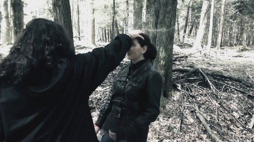 Фото - Lost in the Pinelands: 507x285 / 48 Кб