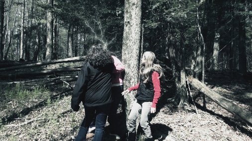 Фото - Lost in the Pinelands: 507x285 / 60 Кб