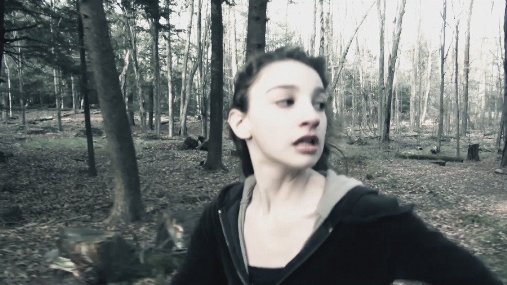 Фото - Lost in the Pinelands: 507x285 / 40 Кб