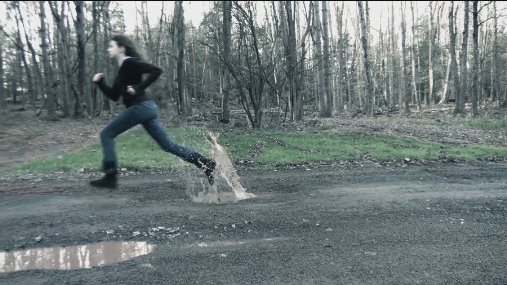 Фото - Lost in the Pinelands: 507x285 / 50 Кб