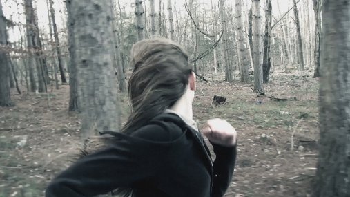 Фото - Lost in the Pinelands: 507x285 / 37 Кб