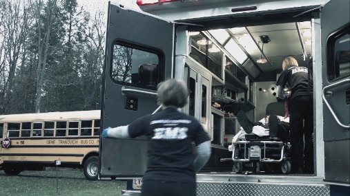 Фото - Lost in the Pinelands: 507x285 / 45 Кб