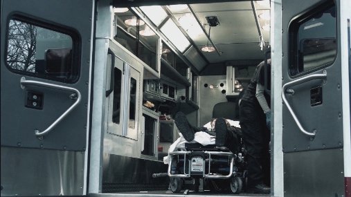 Фото - Lost in the Pinelands: 507x285 / 36 Кб