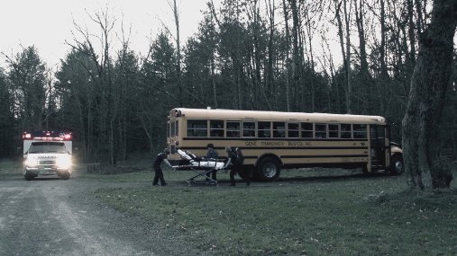 Фото - Lost in the Pinelands: 507x285 / 44 Кб