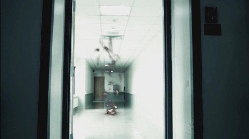 Фото - Lost in the Pinelands: 507x285 / 16 Кб