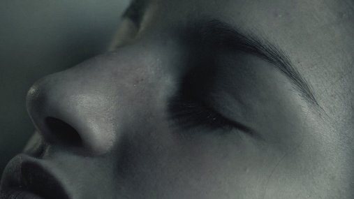 Фото - Lost in the Pinelands: 507x285 / 16 Кб