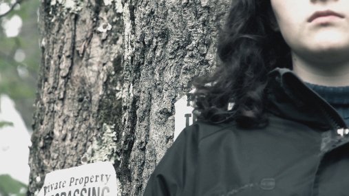 Фото - Lost in the Pinelands: 507x285 / 38 Кб