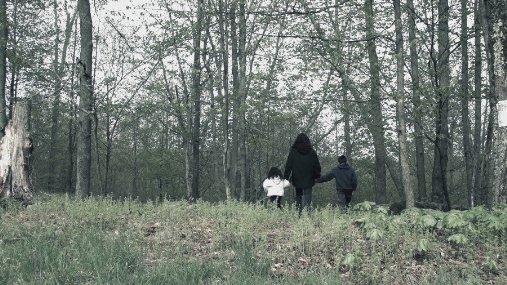 Фото - Lost in the Pinelands: 507x285 / 64 Кб