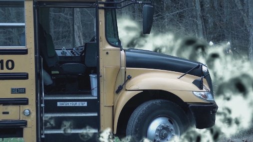 Фото - Lost in the Pinelands: 507x285 / 35 Кб