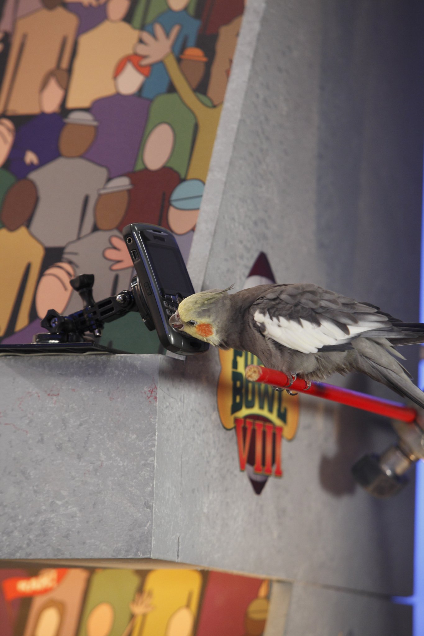 Фото - Puppy Bowl VIII: 1365x2048 / 244 Кб