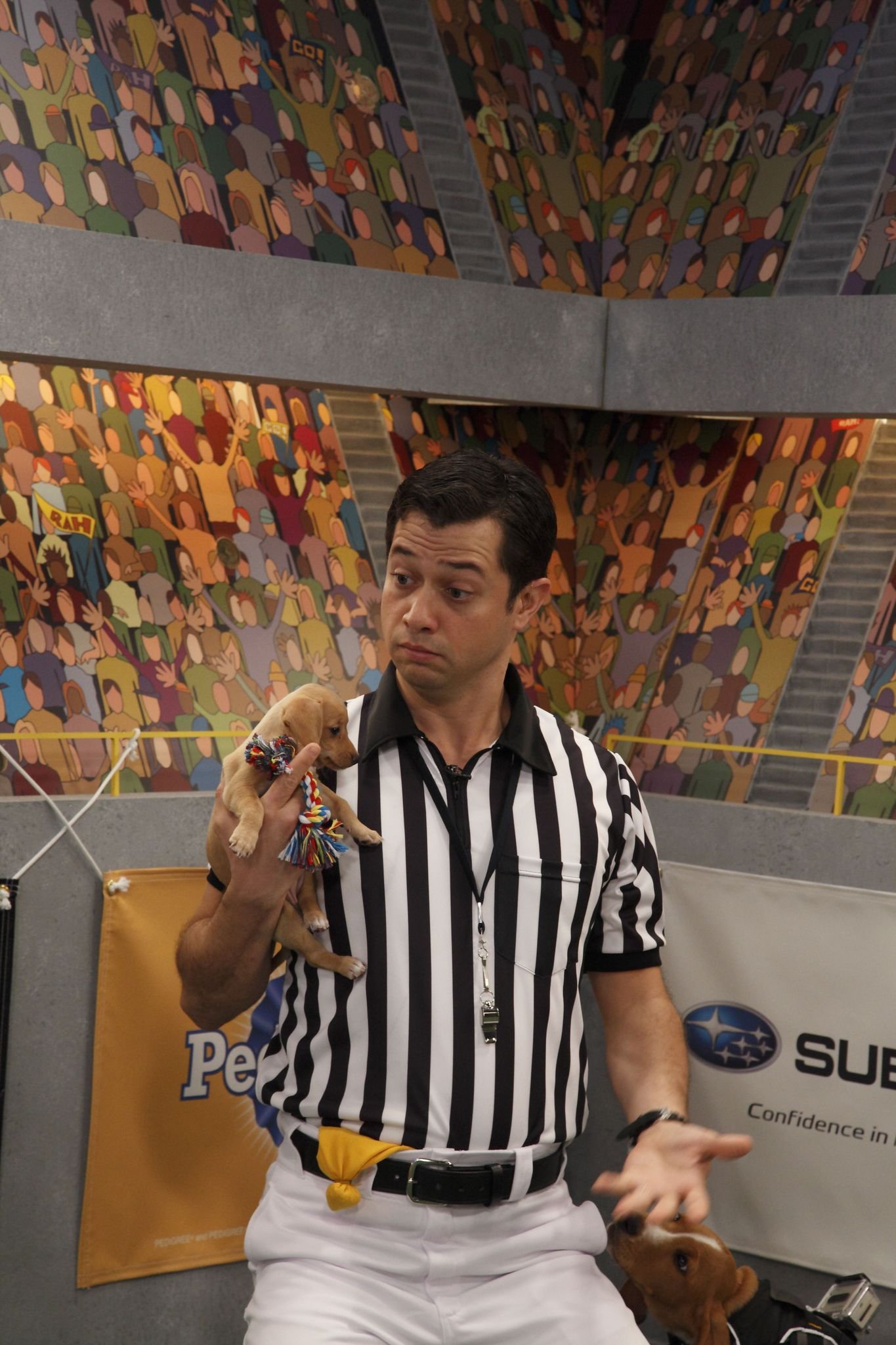 Фото - Puppy Bowl VIII: 1365x2048 / 340 Кб