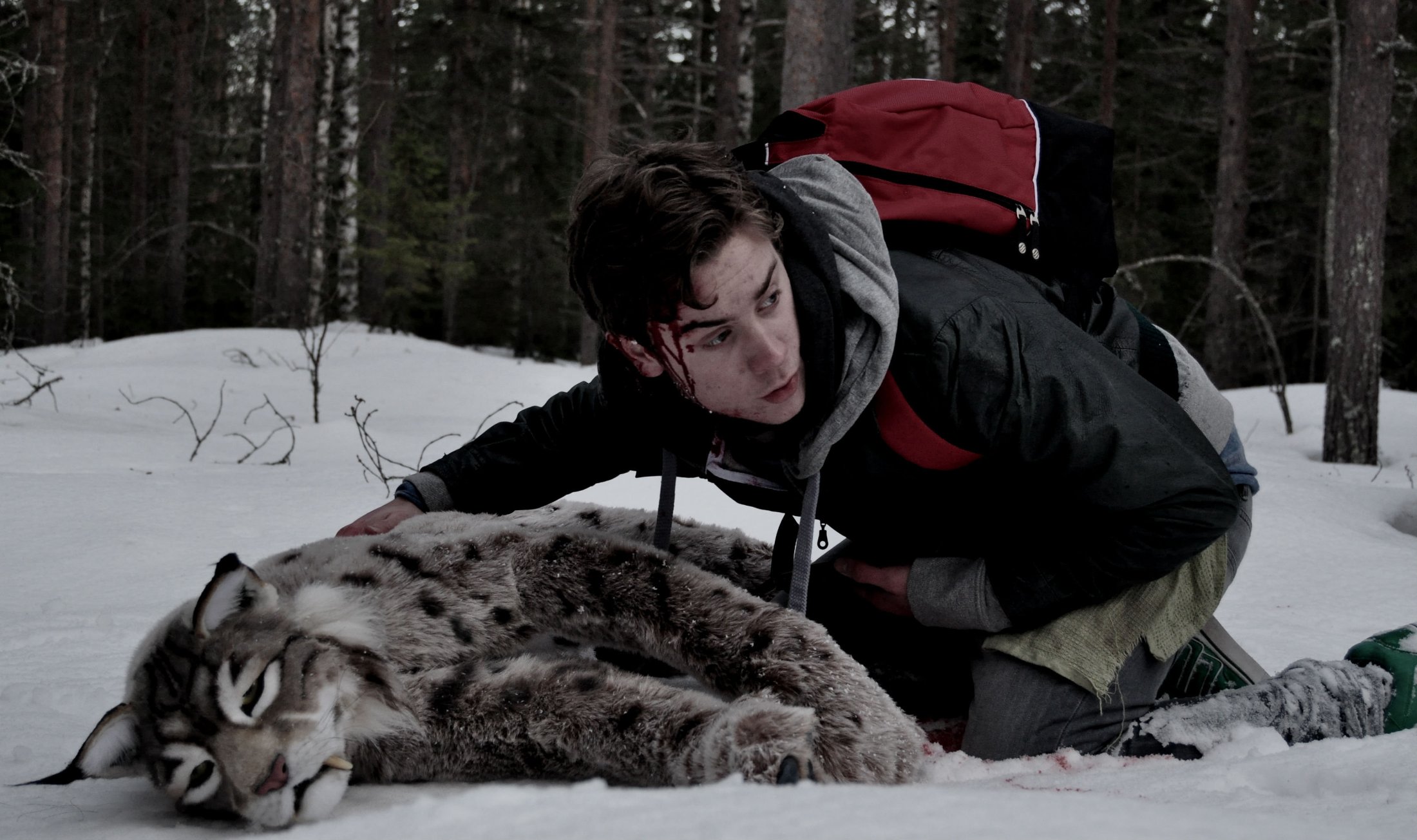 Фото - Vid skogens rand: 2200x1304 / 357 Кб