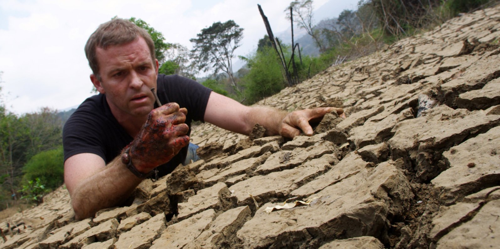 Фото - The Nail: 1594x794 / 240 Кб