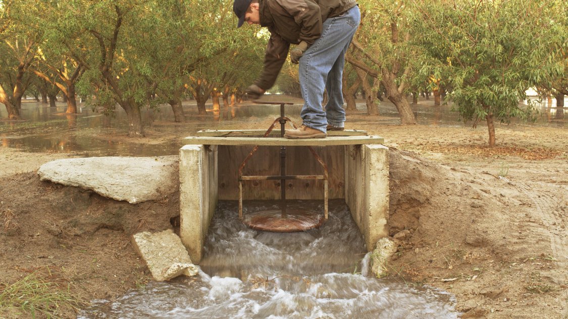 Фото - The Irrigationist: 1125x633 / 219 Кб