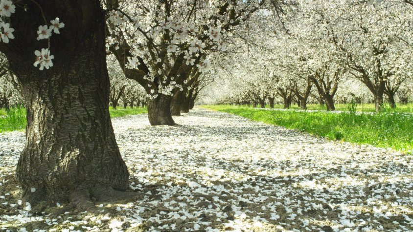 Фото - The Irrigationist: 844x475 / 164 Кб