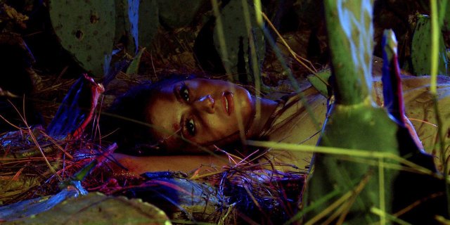 Фото - El Bosque de los Sometidos: 640x320 / 47 Кб