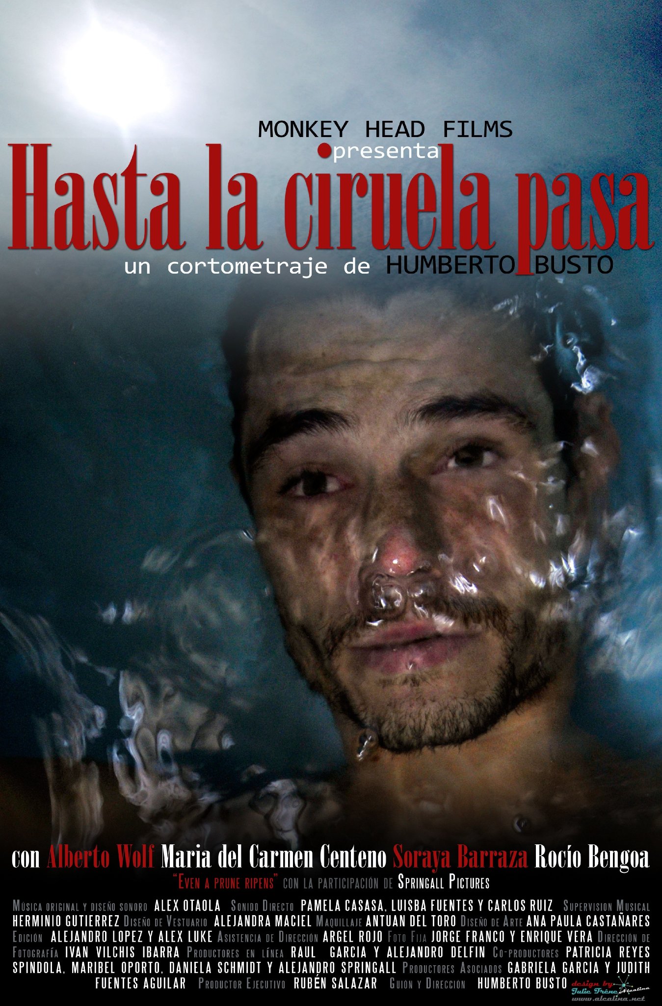 Фото - Hasta La Ciruela Pasa: 1349x2048 / 465 Кб