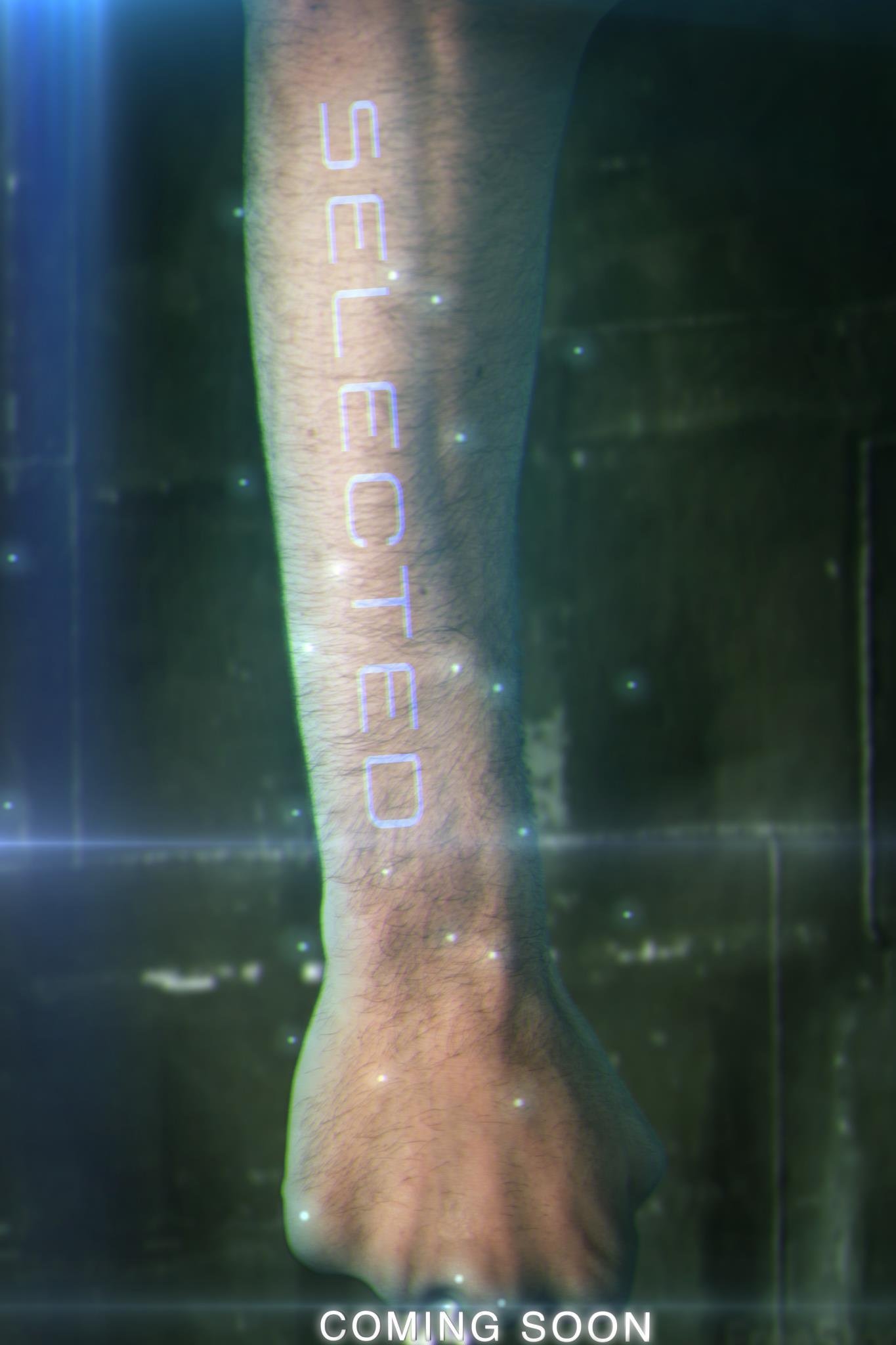 Фото - Selected: 1365x2048 / 133 Кб