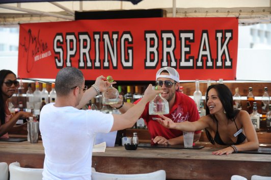 Фото - The Catalina: 532x354 / 46 Кб