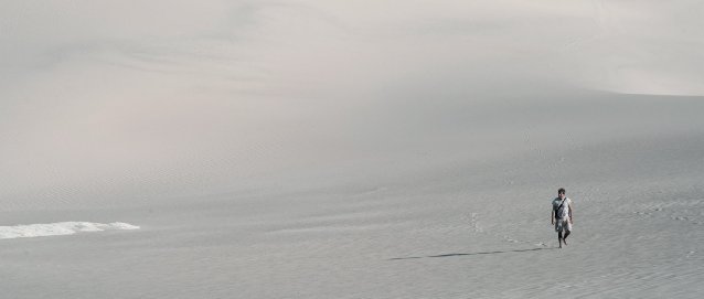 Фото - Curio Shop: 638x271 / 13 Кб