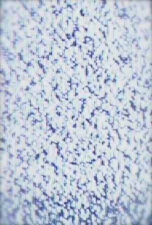 Фото - Fragment: 300x444 / 37 Кб