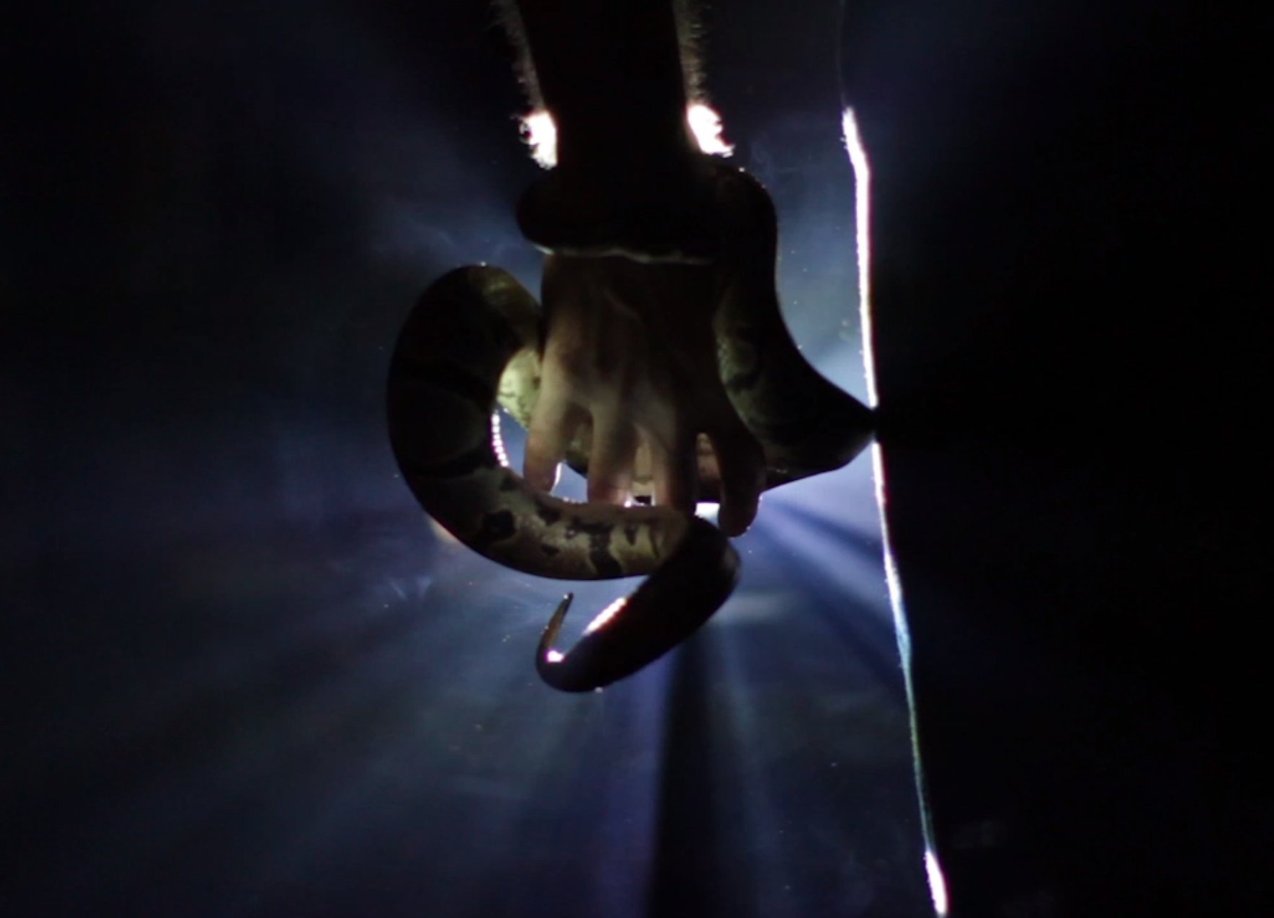 Фото - : 1274x918 / 57 Кб