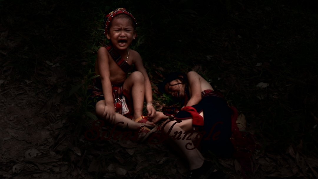 Фото - Silent Jungle: 1080x608 / 64 Кб