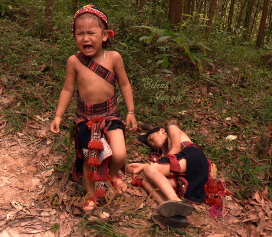 Фото - Silent Jungle: 911x795 / 193 Кб