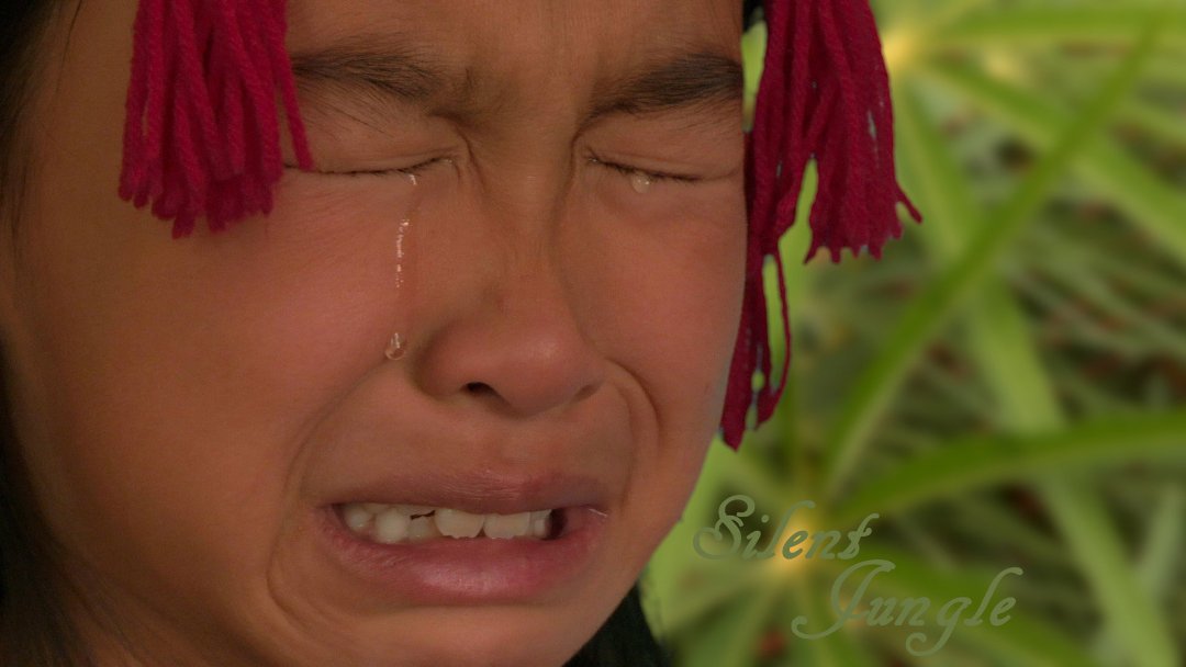 Фото - Silent Jungle: 1080x608 / 66 Кб