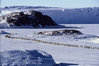 Фото - Птицы 2: Путешествие на край света: 323x215 / 24 Кб