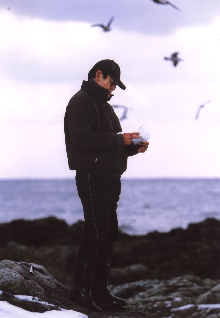 Фото - Путь в тысячу миль: 450x651 / 31 Кб