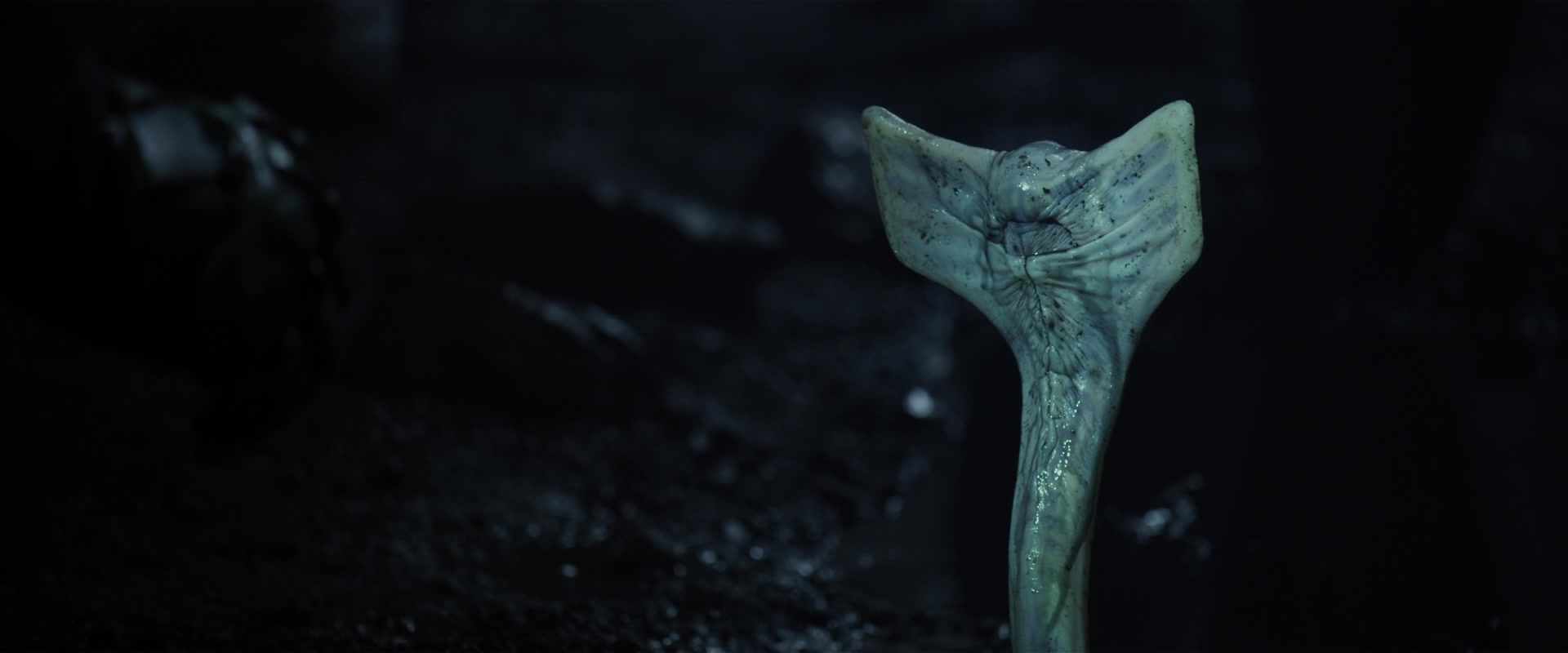 Фото - Прометей: 1920x800 / 68.26 Кб