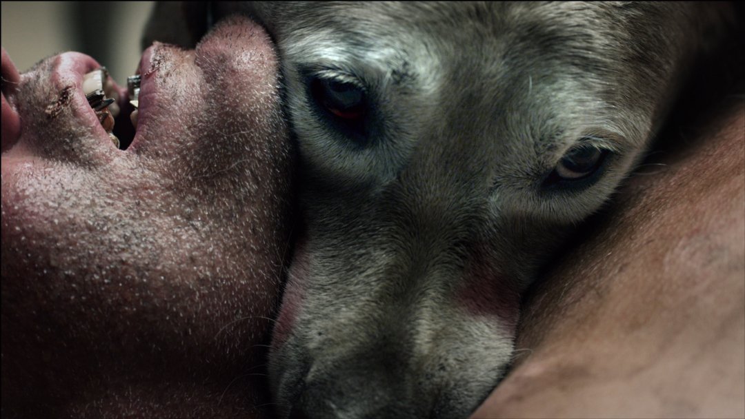 Фото - Азбука смерти: 1080x608 / 110 Кб