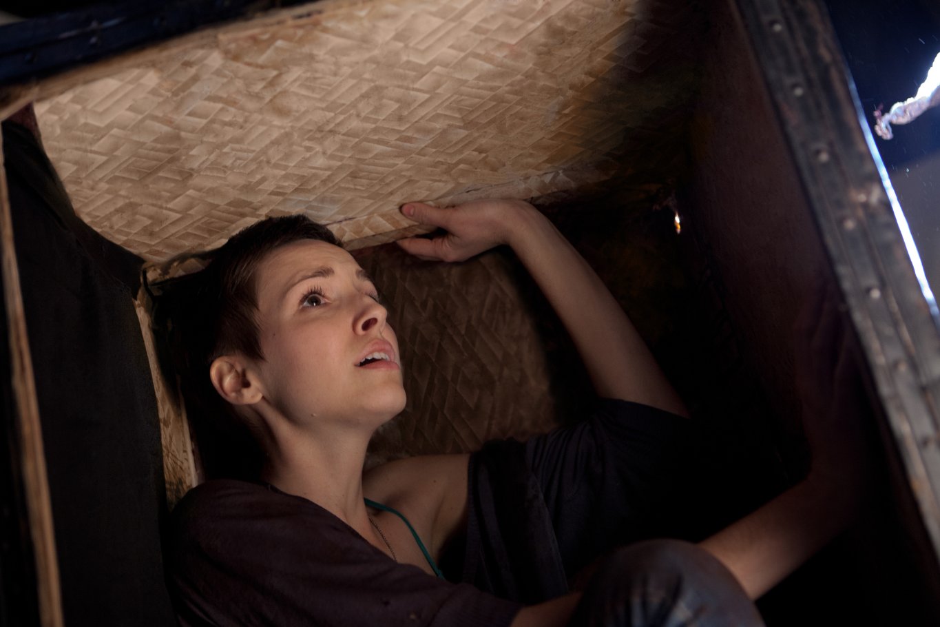 Фото - Коллекционер 2: 1365x910 / 115 Кб