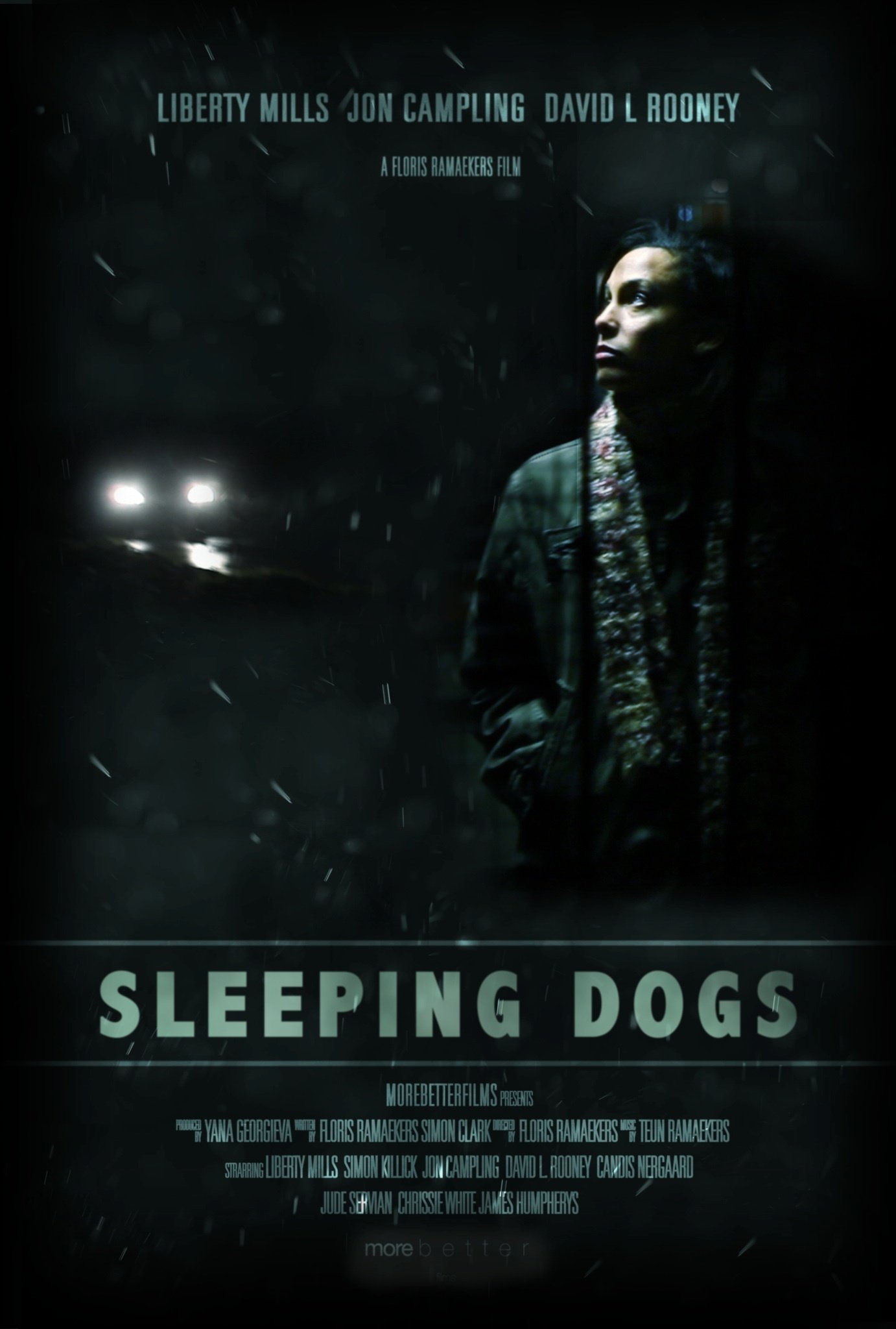 Фото - Sleeping Dogs: 1382x2048 / 163 Кб