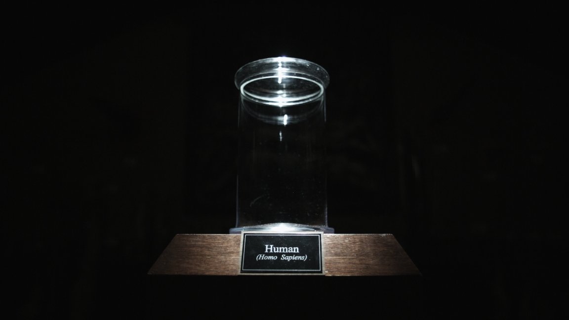 Фото - The Final Member: 1152x648 / 30 Кб