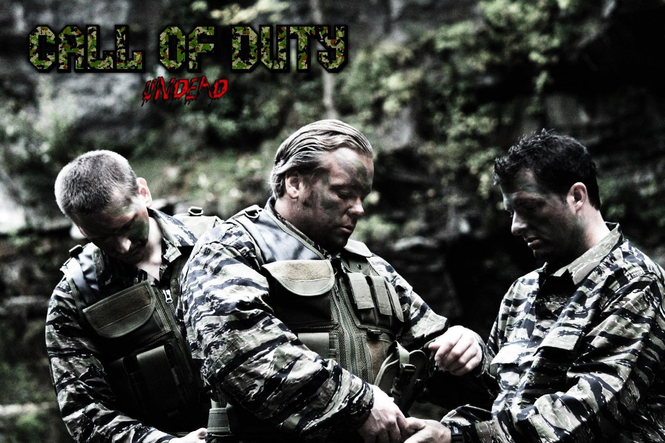 Фото - : 1366x911 / 316 Кб