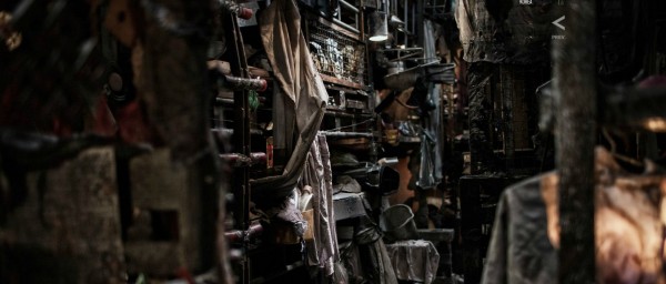 Фото - Сквозь снег: 600x256 / 40.02 Кб