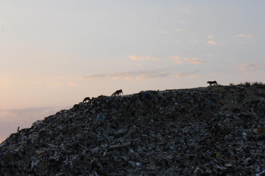 Фото - Мусор : 850x567 / 91.89 Кб