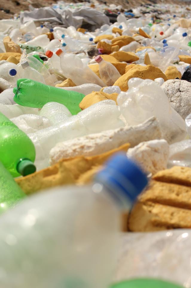 Фото - Мусор : 639x960 / 60.26 Кб