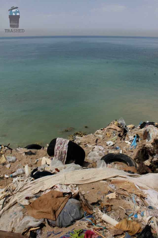 Фото - Мусор : 640x960 / 85.29 Кб