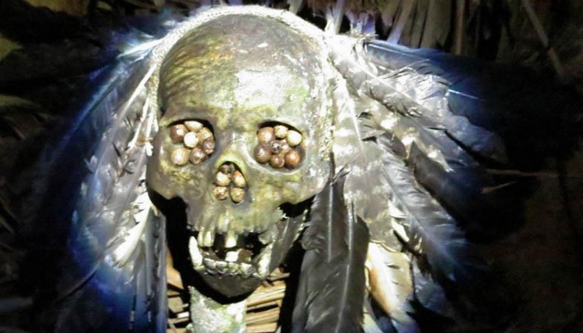 Фото - Джунгли: 850x486 / 111.92 Кб