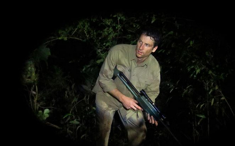 Фото - Джунгли: 750x467 / 353.65 Кб